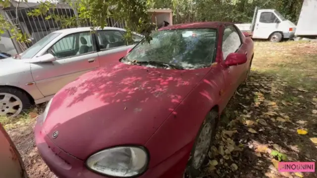 SCAT AND FURIOUS (+ BONUS VIDEO)